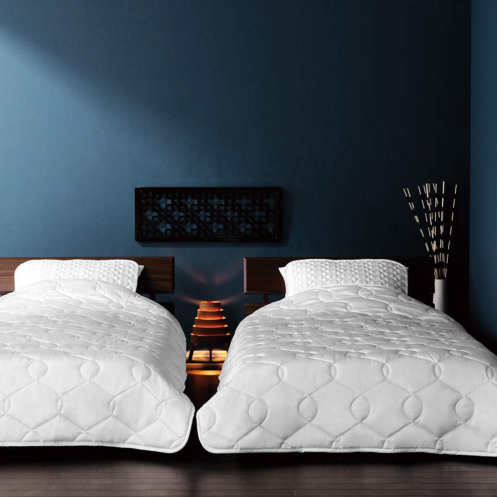 Tenken 2 Satin Washable Pillow 44 x Silk-blend Pad, 100% Wool, 65cm, White, TK-PP30202