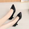 Pointed high heels women's new spring and autumn thick heel middle heel single shoes women's light mouth beige work shoes