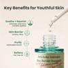 AXIS-Y Artichoke Intensive Skin Barrier Ampoule 30ml