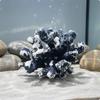 Vissen en zeedieren – Aquarium decoratie