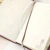 Dream Falling Flowers Retro European Korean Creative Notebook: Colorful Illustrated Diary