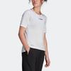 Adidas Terrex W Mt Tee Outdoor Sports Round Neck Short Sleeve Women Tops White H53387