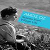 Scenes from Village Life by Amos Oz Paperback Book 9780099541363