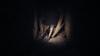 REANIMAL Key North Switch 2 (Game Card) (Import Version America) -