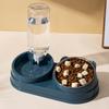 Automatic Double Bowl Pet Feeder: Slanted Stainless Steel Bowl for Cats & Dogs