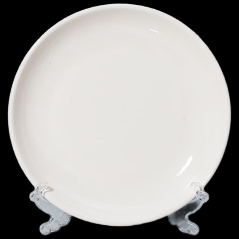 

Abay 10-Inch Pure White Ceramic Dinner Plates (Set of 2)