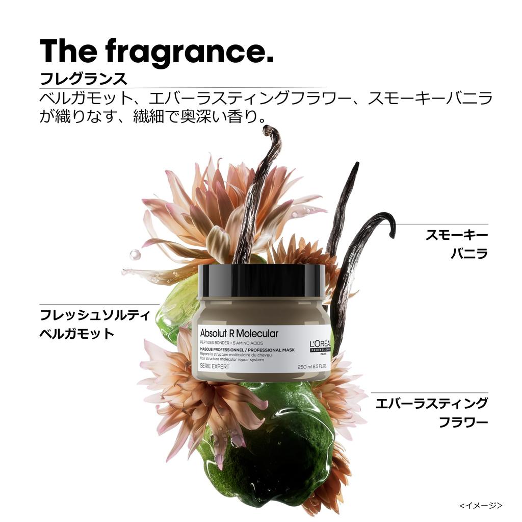 Professionnel Paris Professionnel Absolute R Molecular Hair Damage Care 250ml L'Oréal L'Oréal Mask, Treatment, Repairing, Moisturizing, Skin-Inspired