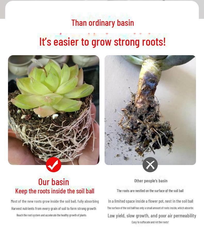 Exquisite Square Succulent Pots with Breathable Plastic Base for Office