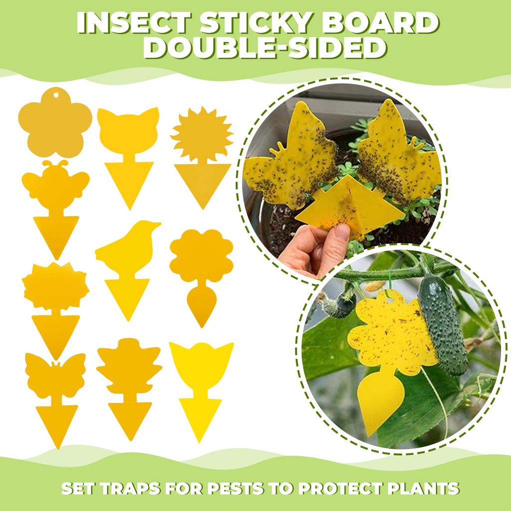 30Pack Plant Sticky Trap Fungus Gnat Traps Killers For Indoor And Outdoor , Fruit Fly Sticky Strips Protecting Houseplant , No Poison And Odorless