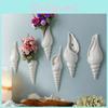 Shell Wall Contemporary Vase For Home Decor To Enhance Interiors Minimalist