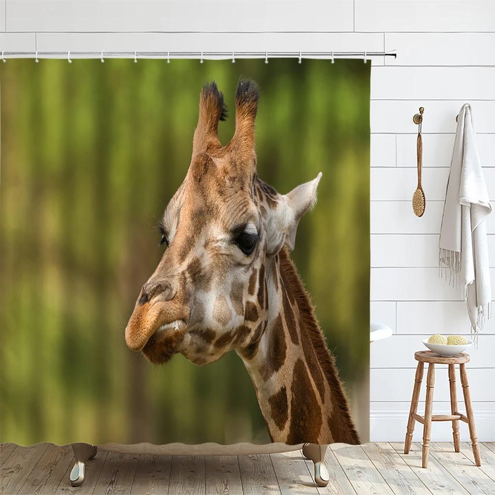Funny Animal Shower Curtain Giraffe African Wildlife Kid Boy Bath Curtains Modern Waterproof Fabric Bathroom Decor With Hooks