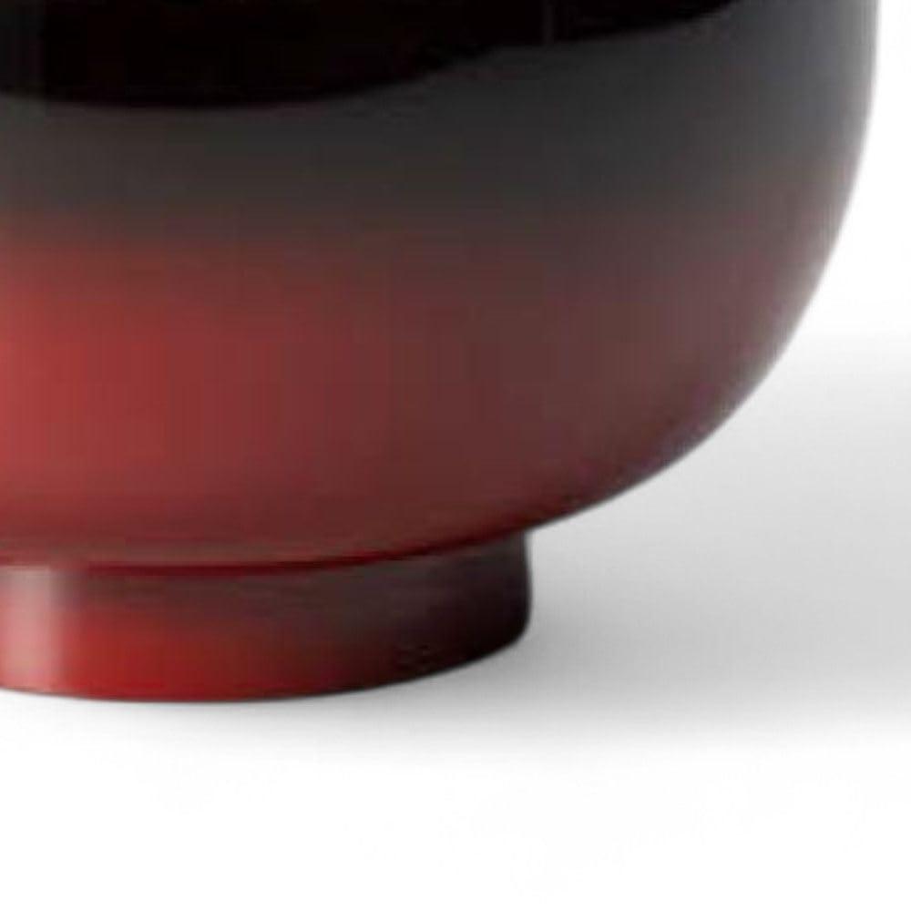 Lacquerware Dishwasher Made in Japan J-kitchens Bowl, Hand-Painted, Safe, PID-527575,