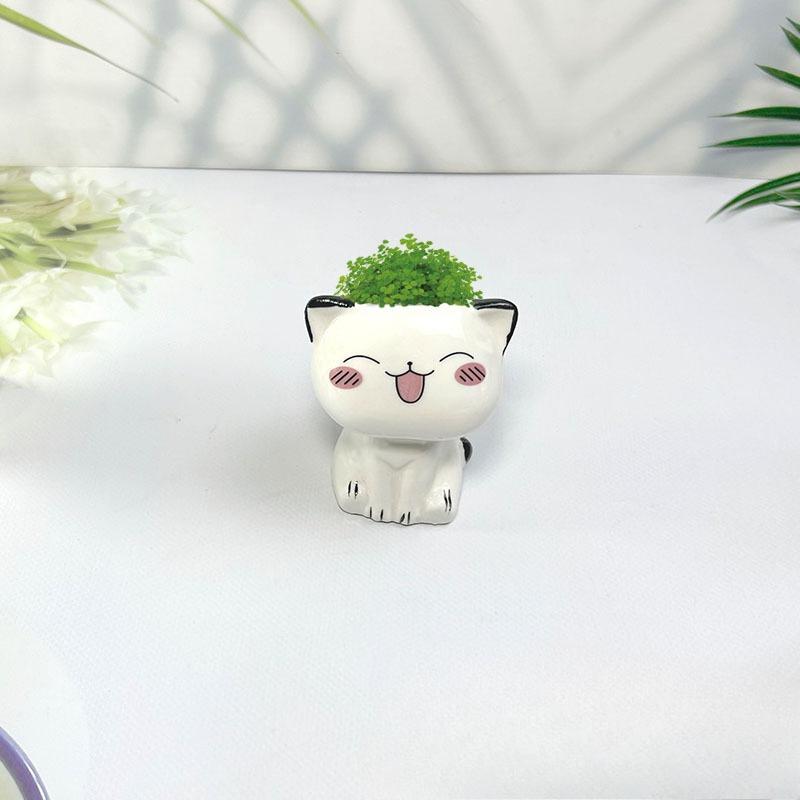 1 Stück Keramik-Blumentopf Mini Cartoon Katze Niedliche Pflanze Schreibtisch-Dekoration Topfpflanze Topf DIY Dekorieren Wissenschaftliche Bildung Schulgeschenke