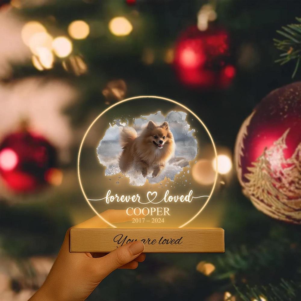 

Custom Pet Memorial Decor to Honor Your Furry Friend Forever with Personalized Touch Dog Acrylic Photo Frame Pet Picture Plaque 3-Color Base