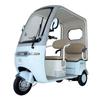 Guardian Electric Tricycle Van with Canopy, Double Row Seats, Mobility Scooter for Elderly Dual-Use