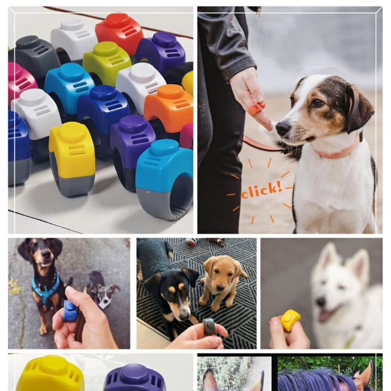 Nuovo Clicker ad Anello Mini Clicker per Dita per Animali Attrezzatura per l'Addestramento Sonaglio per l'Obbedienza Allenatore Clicker Addestramento Sonaglio Articoli per Animali