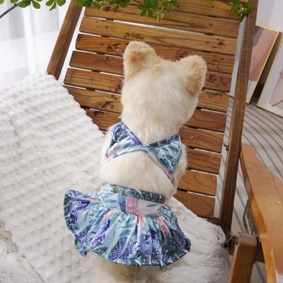 Giyim ve ayakkabı – Köpekler için yelekler ve gömlekler