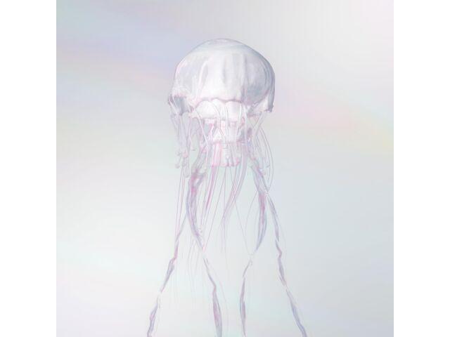 

[CD+Blu-ray] LUMINOUS with GOODS Limited Edition SCANDAL VIZL-2304 J-Rock NEW