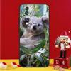 Koala Case For Honor Magic 8 6 7 Lite Honor X9d X9c X9b X9a X8b X8c Win 50 70 90 200 400 Pro Cover