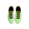 Nike LeBron Witness 5 EP 'Grinch' Men's CQ9381-300