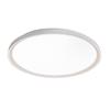 Zhenhui Series Modern LED Ceiling Light