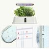 10 Pods Hydroponic Growing System, Indoor Herb Garden Kit with Grow Light, Smart Garden for Home