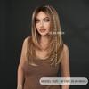 Women’s Daily Wear Lace Front Synthetic Full Wig Fashion Layered Straight Wig with Blonde Highlights