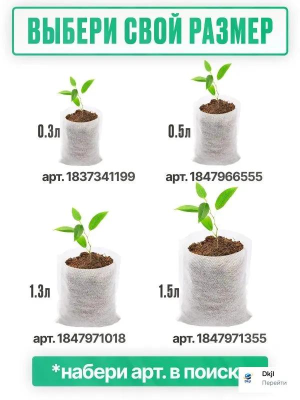 Clopotul de sticlă reutilizabil în formă de pătrat protejează plantele de înghețul și daunele păsărilor
