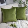 Velvet Solid Pillow Cover Removable Washable Sofa Cushion Case Soft Cozy Home Decor Elegant Comfortable Accent