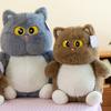 Fluffy Big Eyes Cat Plush Doll Cartoon Cat Stuff Doll Stuffed Toys Cat Plush Toy  Home Decor