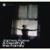 A Death In the Family by James Agee Paperback Book 9780141187969