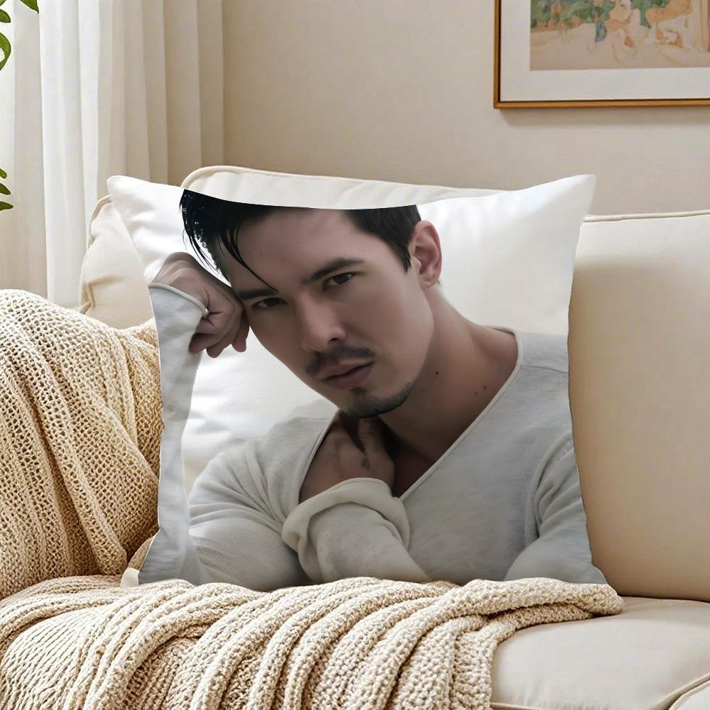 LLewis Tan Movie Star Peripheral Cushion Cover Pillowcase Antidustmite living Room Sofa Decor Cushion Room