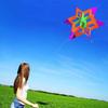 Beautiful 3D Lotus Flower Kite for Kids & Adults Easy To Carry with Flying Line Outdoor Toy for Picnic Beach Park Travel Boys