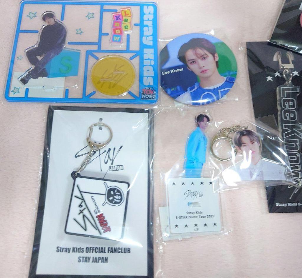 [USED] Reno Stray Kids Acrylic Stand Voice Keychain Leavitt Stray Kids