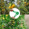 Reusable Plastic Adjustable Plant Training Clips for Low Stress Plant Training Gardening 30/100 Pcs Bulk