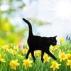 Acrylic Acrylic Cat Stake Waterproof Simulation Black Cat Statue Cat Garden Stake  Outdoor