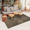 Modern Outdoor Indoor Rug Brown 120x170