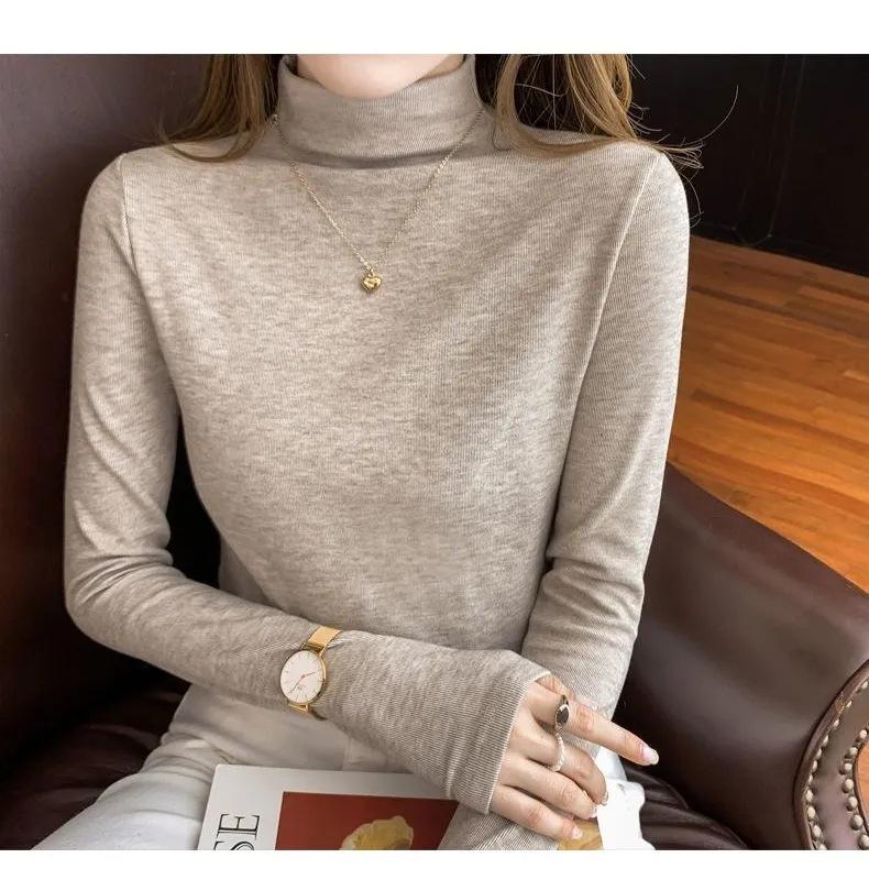 Women's Elegant High Neck Long Sleeve Winter Top