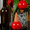 4pcs Plant Watering Stakes Indoor Outdoor Water Spikes for Plant Terracottas Automatic Drip Irrigation for Houseplants