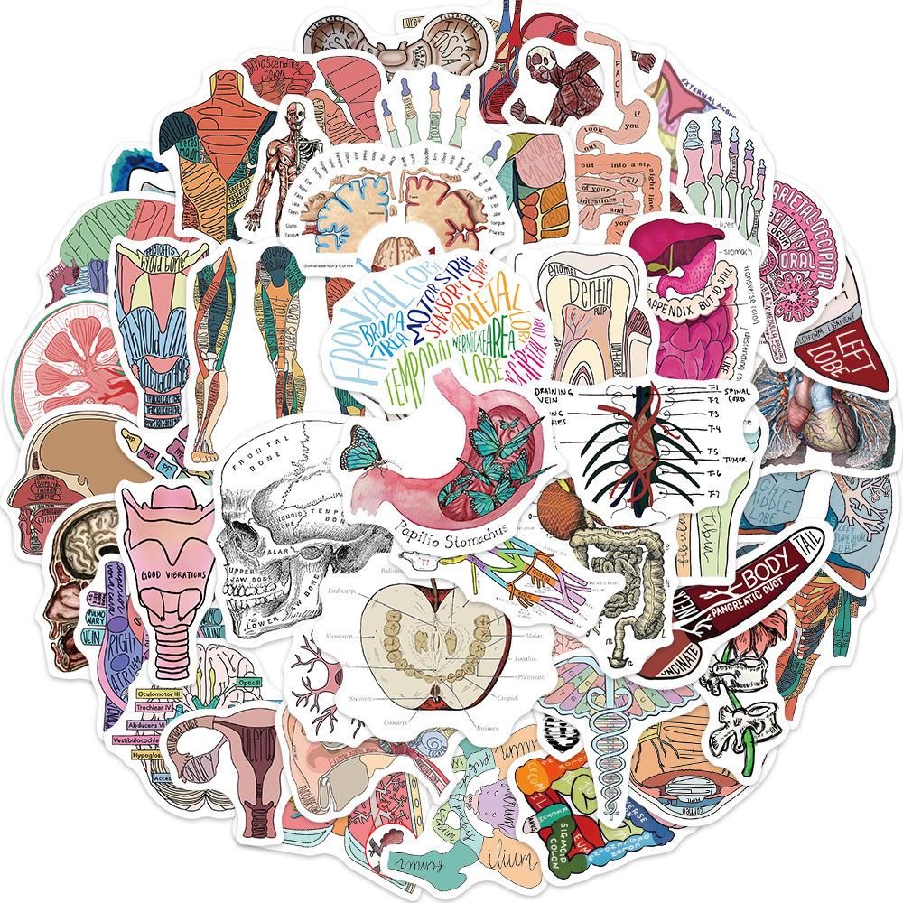 Luggage Stickers 50 Pack for Suitcase Travel Decorative Decals