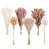 Yunnan Reed Whisk Rabbit Tail Grass Dried Flower Bouquet Production