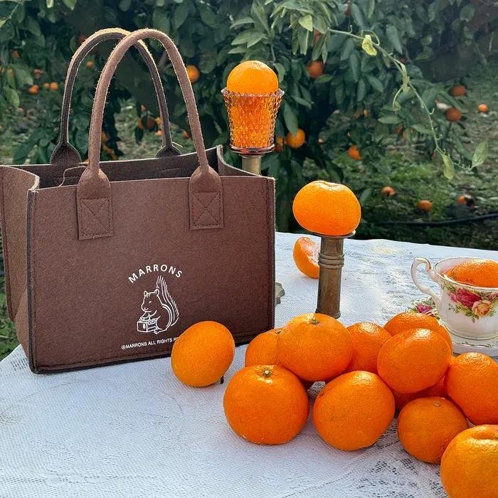 Felt Bag (6 Colors)