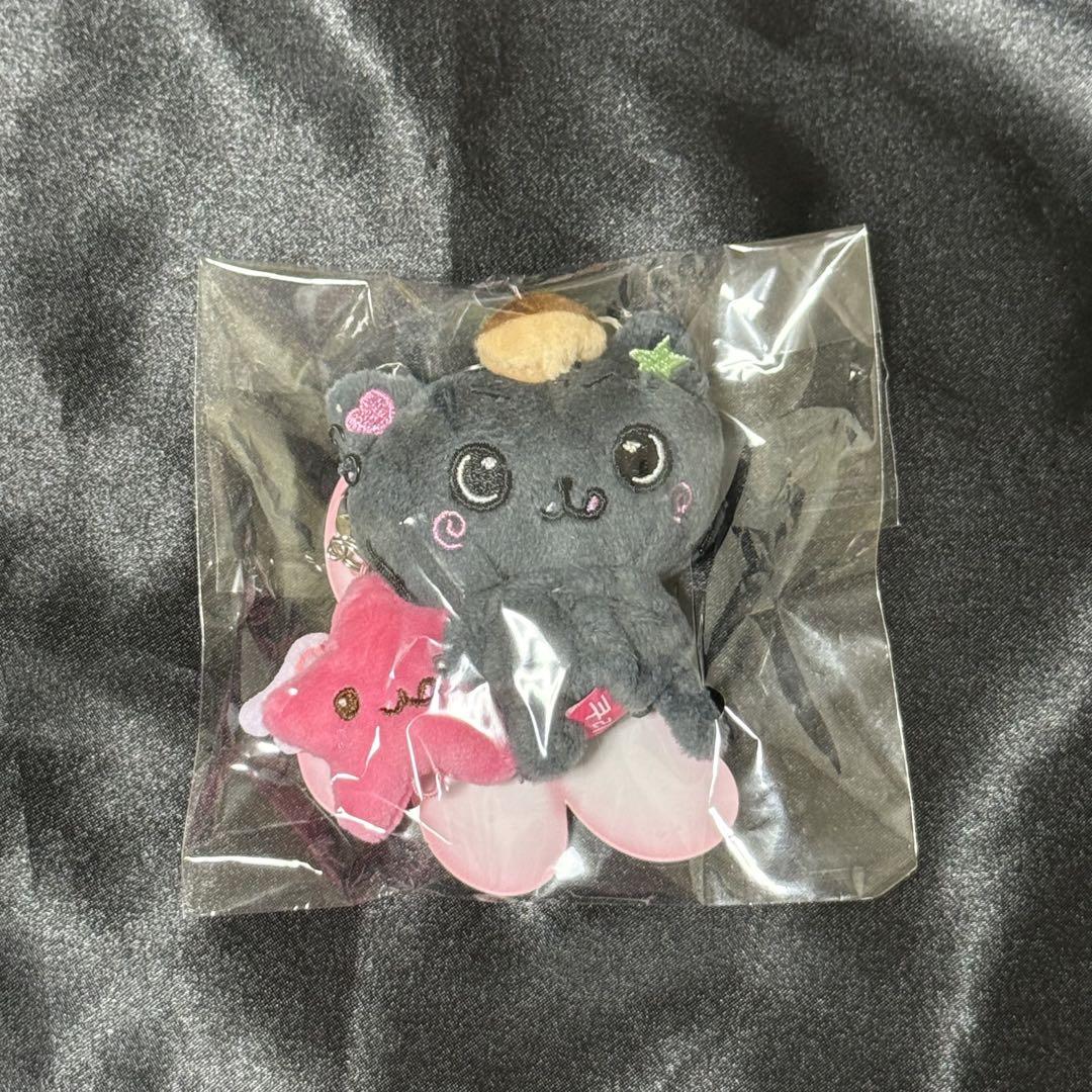 

[USED] NCT WISH Riku Kuri penlight key ring plush toy md