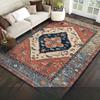 "Large Moroccan-Style Nordic Living Room Carpet: Modern American Sofa & Coffee Table Floor Mat"