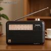 Panda T-41 Portable Retro Multi-Band Radio