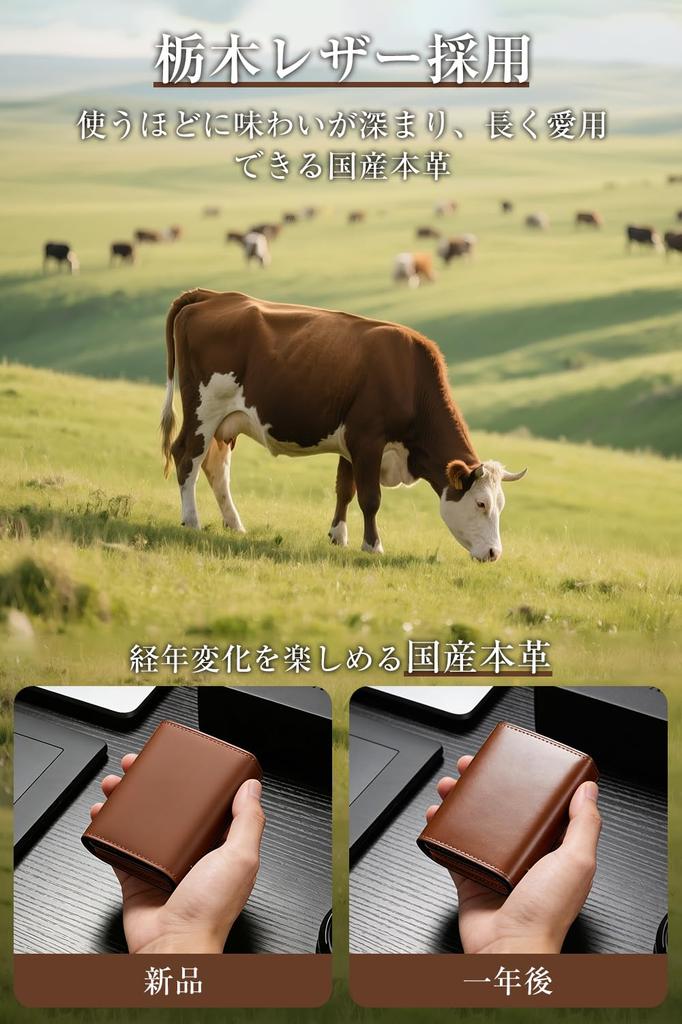 bifold made with genuine Tochigi featuring a large capacity and crafted by This and unisex cowhide wallet with a coin purse is a stylish and popular