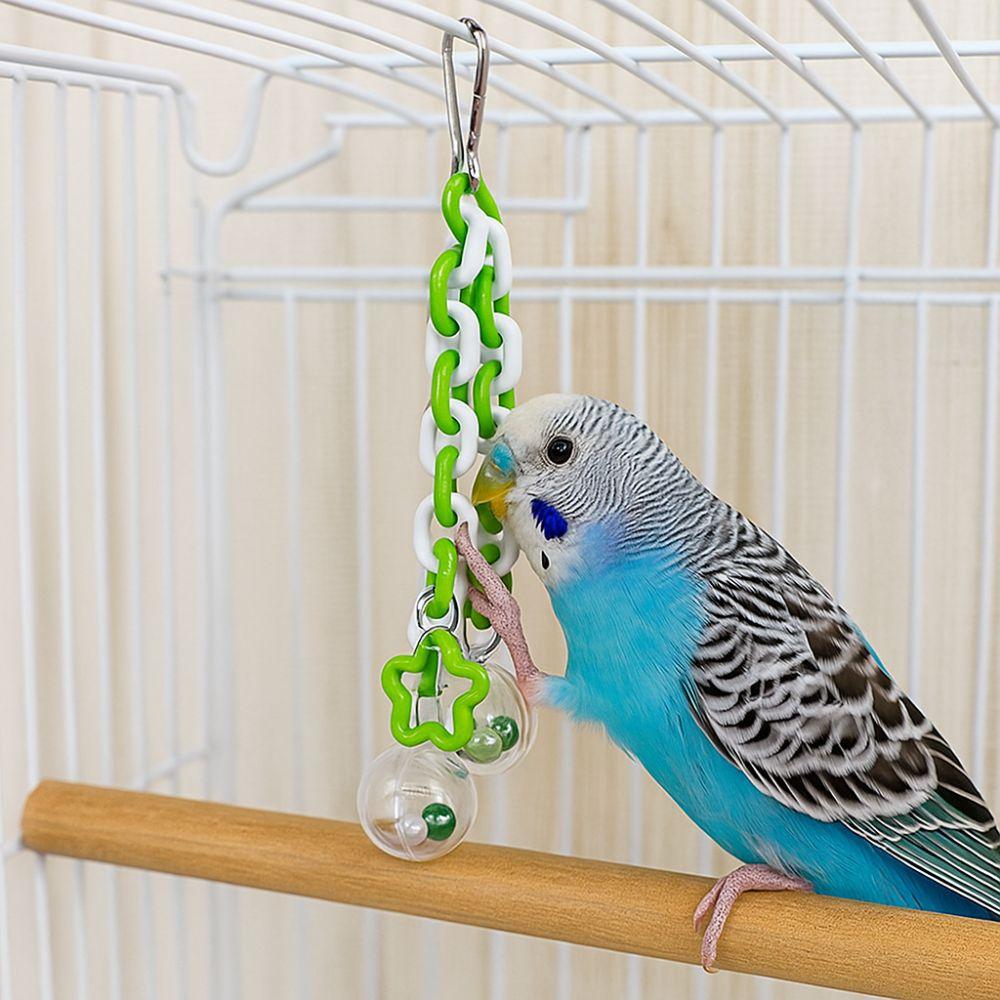 Bissfester Papageien Hängeball Transparenter Ball mit Glöckchen Vogel Kauspielzeug Bunt Vogel Vogelkäfig Kletterleiter Interaktiv