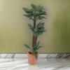 Realistic Plant Dollhouses Miniature Brazilwood Money Tree with Pottery Pot for 1/12 Dollhouses Garden and Patios Decors
