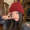 Winter Wool Hat Women's Warm Fashion Twist Knitted Hat