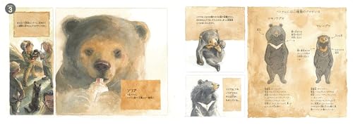 Soria In the Forest: The Story of Chang, the Sun Bear Rescue (Translated Picture Book Series)